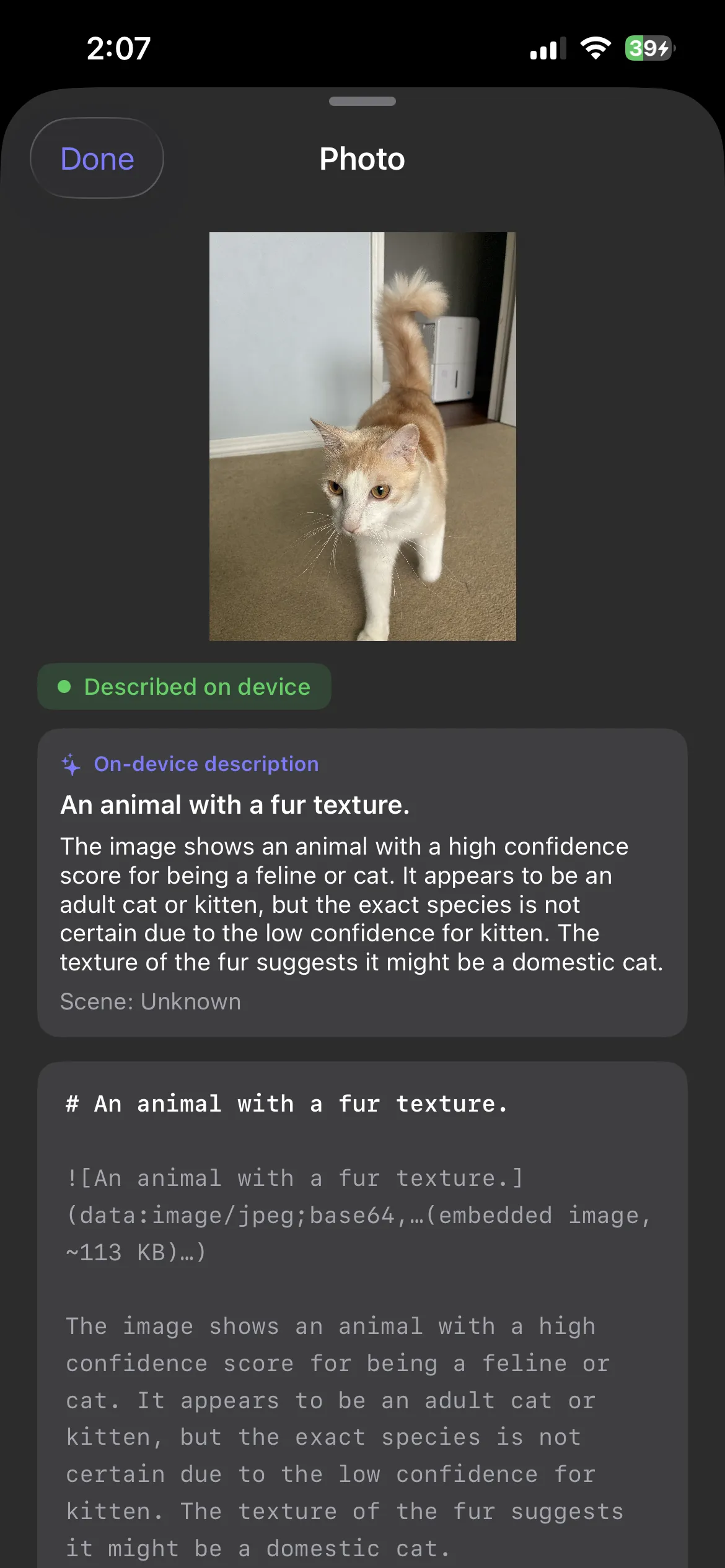 Describe a photo: an on-device description you can keep.